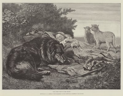 La sua prima visita al gregge, nell