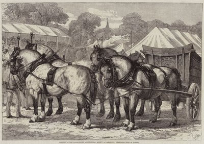 Riunione della Società Agricola del Lincolnshire a Sleaford, Squadra di Cavalli Vincitrice da Samuel John Carter