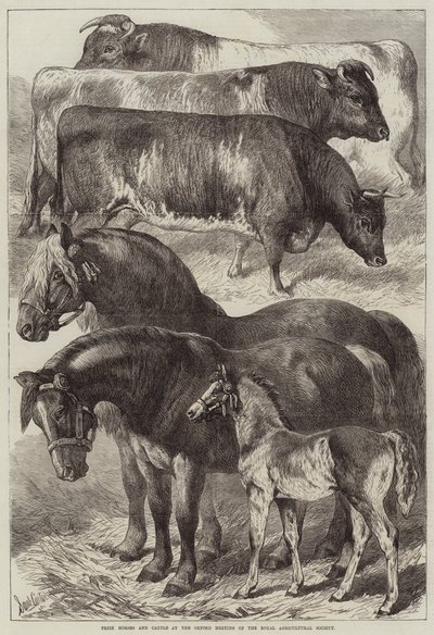 Cavalli e bovini premiati alla riunione di Oxford della Royal Agricultural Society da Samuel John Carter