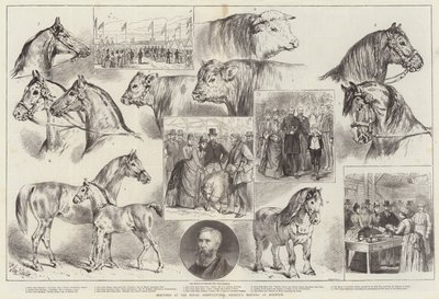 Schizzi alla Riunione della Royal Agricultural Society a Norwich da Samuel John Carter