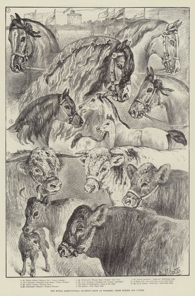 La mostra della Royal Agricultural Society a Windsor, cavalli e bovini premiati da Samuel John Carter