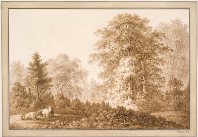 Paesaggio boschivo con due mucche sdraiate da Samuel Mygind
