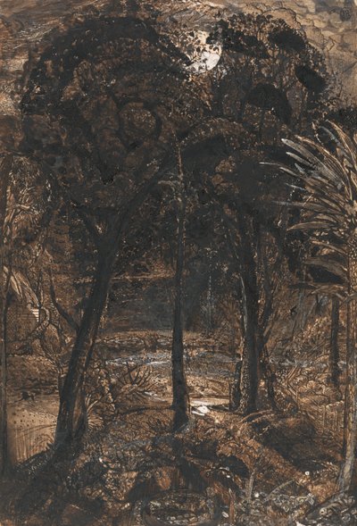 Scena al chiaro di luna con un fiume tortuoso da Samuel Palmer