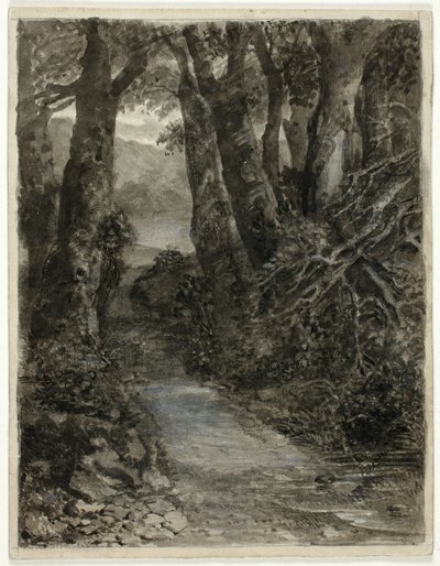 Studio di un Bosco da Samuel Palmer