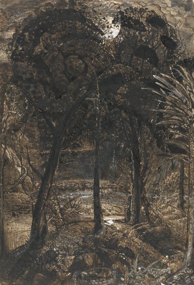 Scena al chiaro di luna con un fiume tortuoso da Samuel Palmer