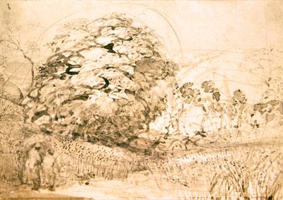 Un sentiero attraverso un campo di grano, c.1832-33 da Samuel Palmer
