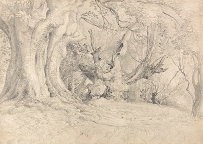 Alberi antichi, Parco di Lullingstone da Samuel Palmer