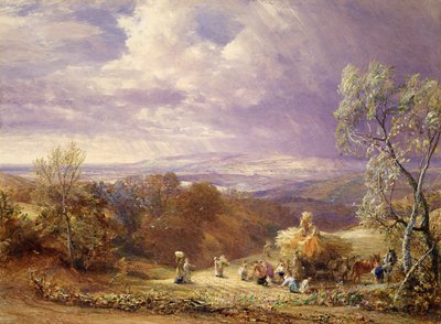 Raccolta da Samuel Palmer