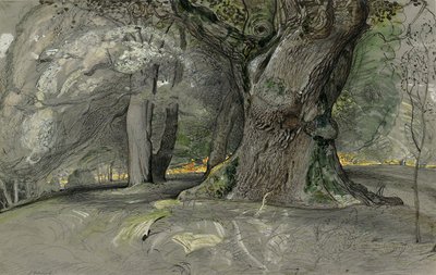 Quercia e faggio, Parco di Lullingstone da Samuel Palmer
