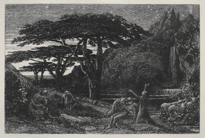 Il boschetto di cipressi da Samuel Palmer