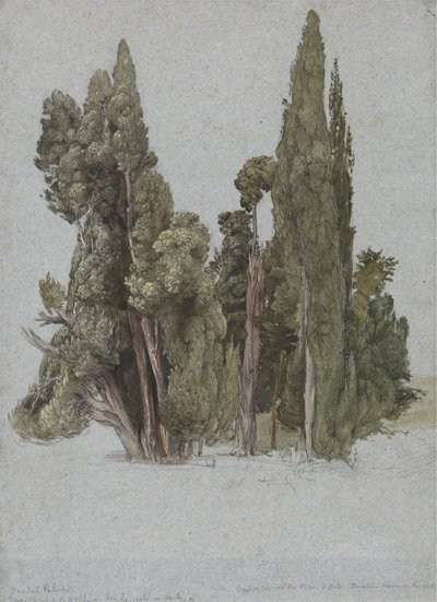 I cipressi alla Villa d
