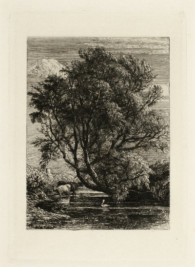 Il salice da Samuel Palmer
