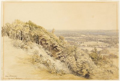 Vista da Wilmots Hill, Kent da Samuel Palmer