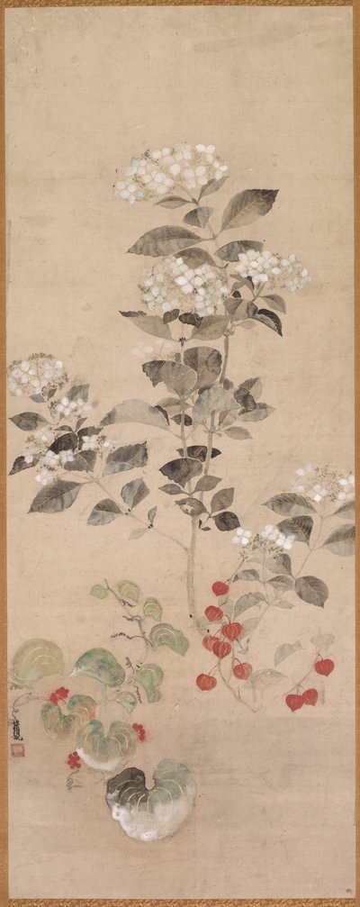 Fiori estivi da Samuel Prout