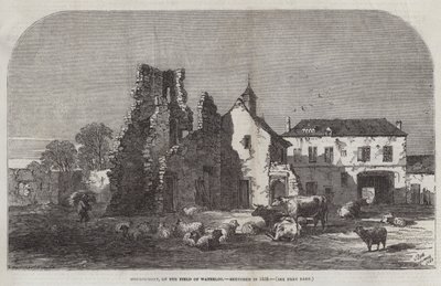 Hougoumont, sul campo di Waterloo da Samuel Read