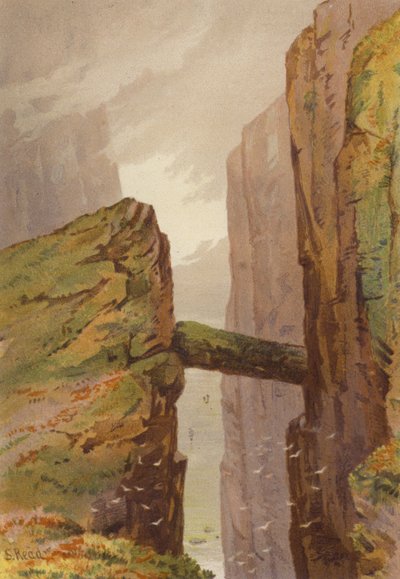 Nord dell