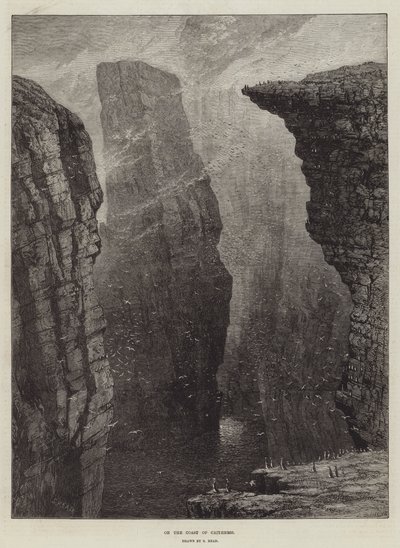 Sulla costa di Caithness da Samuel Read