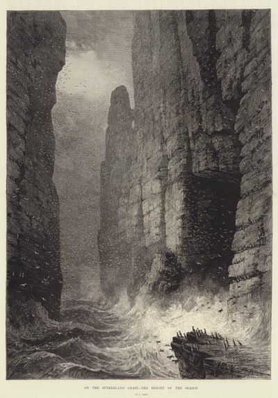 Sulla Costa di Sutherland, l