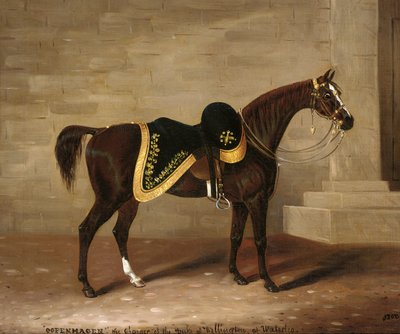 Copenhagen, il cavallo del Duca di Wellington a Waterloo da Samuel Spode