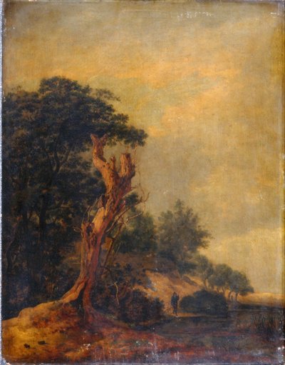 Paesaggio in imitazione di Jacob Ruisdael da Samuel Woodburn