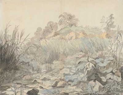 Un torrente roccioso da Samuel Woodforde