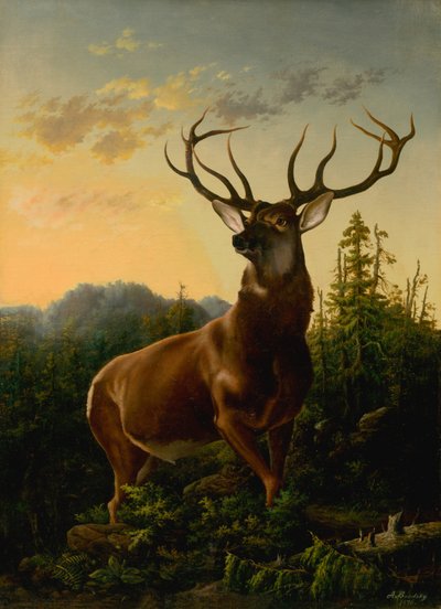 Cervi nel paesaggio forestale, 1876 da Sandor Brodszky