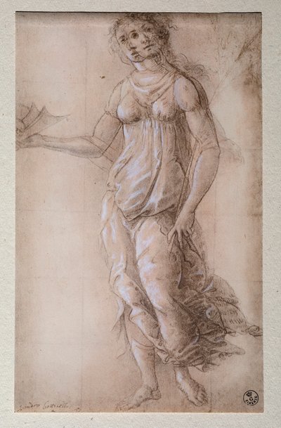 Pallas da Sandro Botticelli