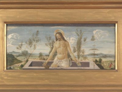 Cristo nel sepolcro da Sandro Botticelli