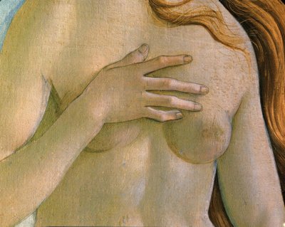 La nascita di Venere da Sandro Botticelli