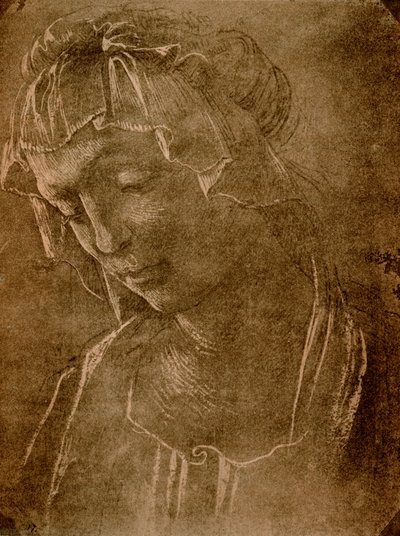 Testa femminile da Sandro Botticelli
