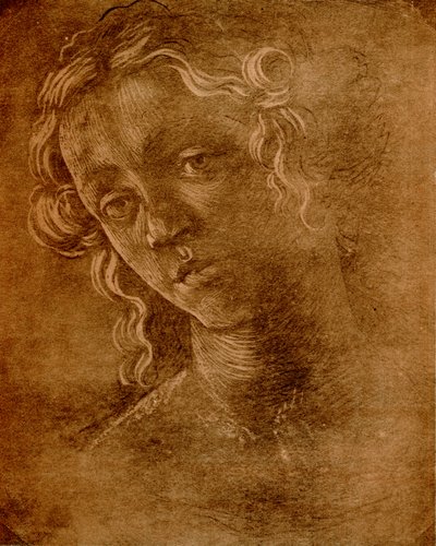 Testa femminile da Sandro Botticelli