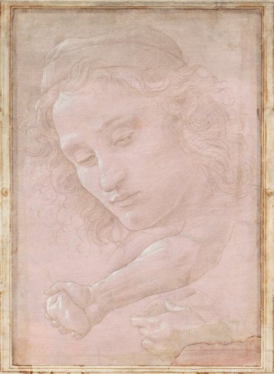Testa di un giovane con cappello; un avambraccio destro con la mano che stringe una pietra; e una mano sinistra che tiene un drappo da Sandro Botticelli