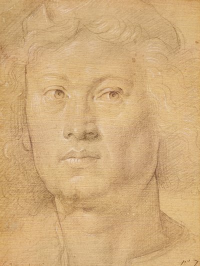 Testa di un angelo da Sandro Botticelli
