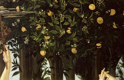 Primavera (dettaglio dell