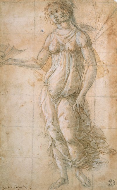 Studio di Atena da Sandro Botticelli