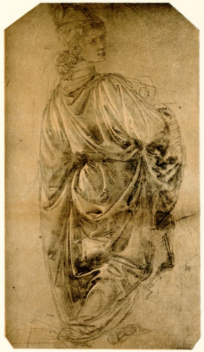 Studio di un giovane uomo da Sandro Botticelli