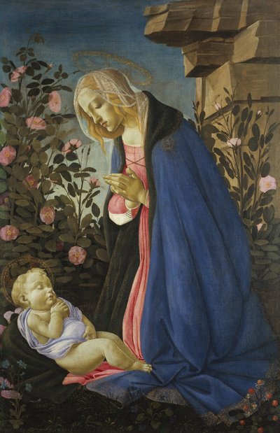 La Vergine in adorazione del Bambino addormentato da Sandro Botticelli