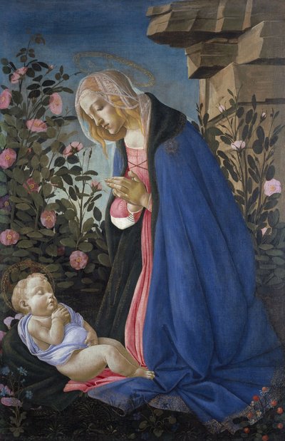 La Vergine in adorazione del Bambino addormentato da Sandro Botticelli