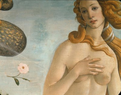 La nascita di Venere (Venere Anadiomene) da Sandro Botticelli