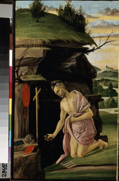 Unbekanntes Bild da Sandro Botticelli
