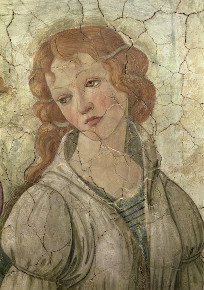 Venere e le tre Grazie offrono doni a una giovane ragazza, (dettaglio di una delle Grazie) da Sandro Botticelli