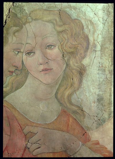 Venere e le tre Grazie offrono doni a una giovane ragazza, (dettaglio di una delle Grazie) da Sandro Botticelli