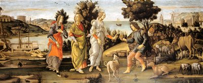 Giudizio di Parigi da Sandro Botticelli and workshop
