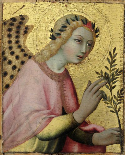 Angelo dell