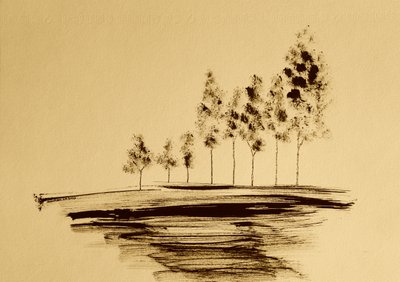 Sereno riflesso di albero da Santhosh ch