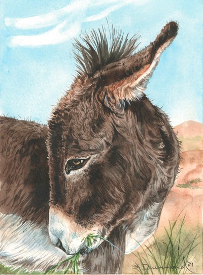 Bashful, 2024 (acquerello su carta) da Sarah Drummond