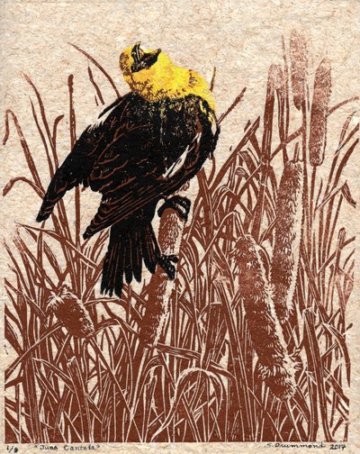 Cattail Cantata, 2017 (Linocut) da Sarah Drummond