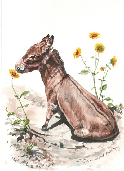 Stop and Smell the Flowers, 2024 (acquerello su carta) da Sarah Drummond