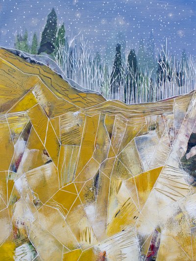 Notte invernale sulle cime dorate da Sarah Fitzgerald