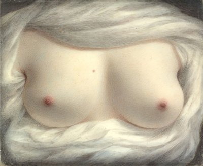 Bellezza rivelata, 1828 da Sarah Goodridge